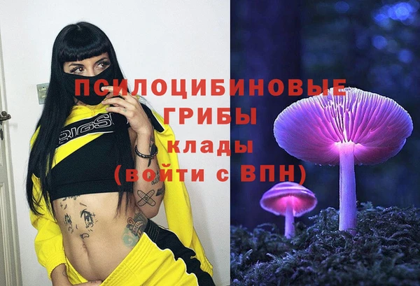 гашик Абаза