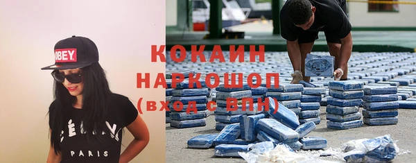 гашик Абаза