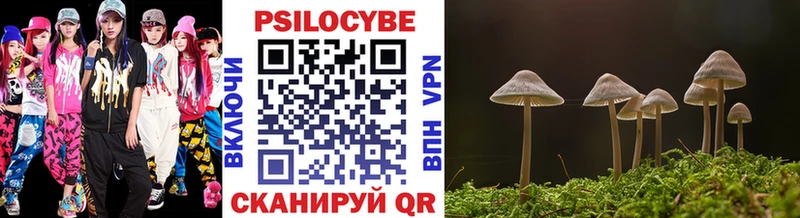 Псилоцибиновые грибы прущие грибы  купить наркотики сайты  Владикавказ 